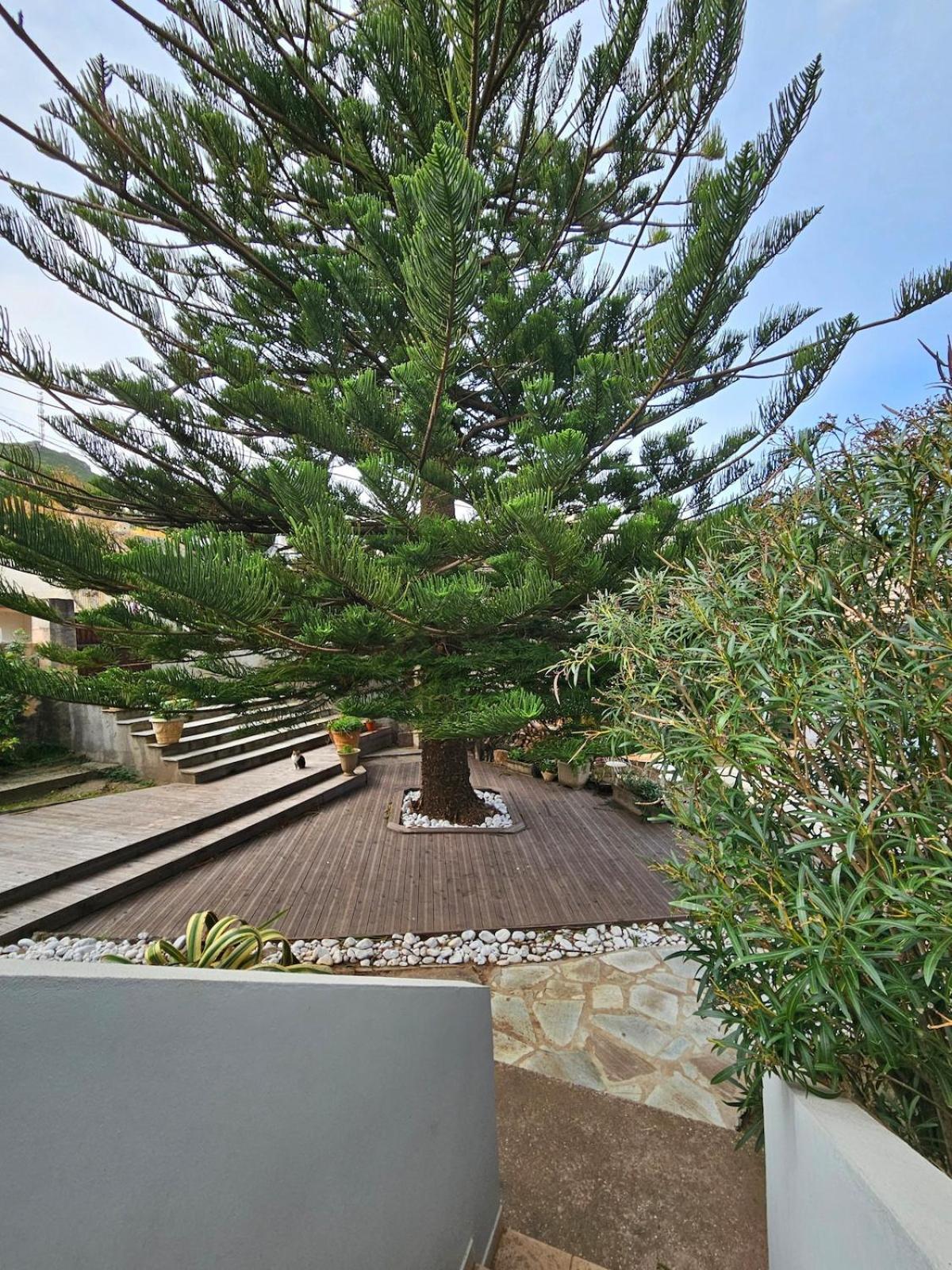 Domaine U Pozzu Apartment Sisco Екстериор снимка